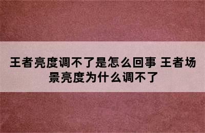 王者亮度调不了是怎么回事 王者场景亮度为什么调不了